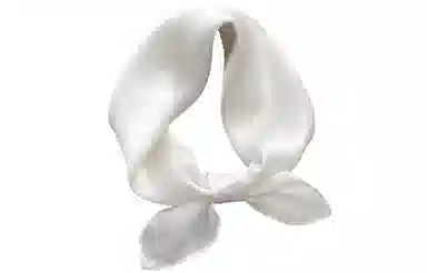 优幽兰 经典纯色小方巾气质优雅减龄职业通勤实用小领巾韩版洋气护颈薄围巾搭配衬衫连衣裙装饰 桑蚕丝 丝巾 女