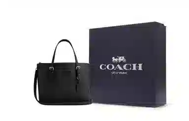 COACH Mollie 25 Tote