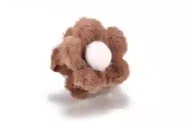 ERROR