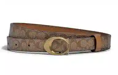 COACH 2cm