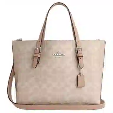 COACH Mollie 25 Tote