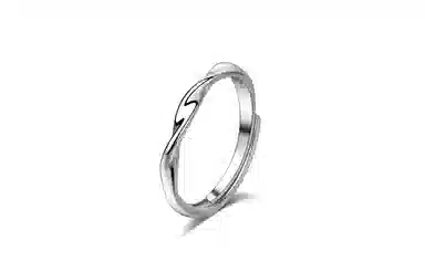COPI ins S925