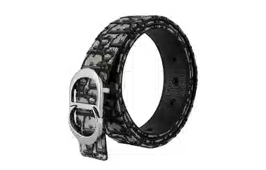 DIOR Letter Double-Sided Smooth Buckle Belt