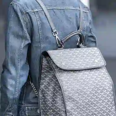FANJI Goyard