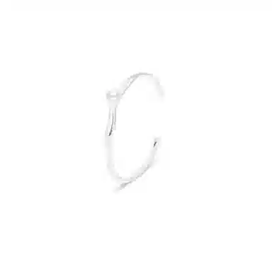 PRETTY DIARY ins S925