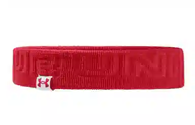 Under Armour UA Wordmark Terry