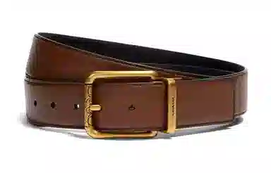 COACH 3.8cm