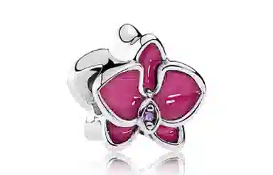 Pandora