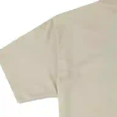 Converse T
