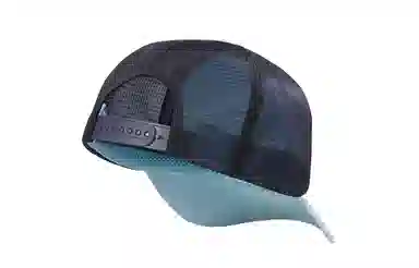 Arcteryx bird trucker