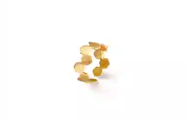 Crafts Women ins