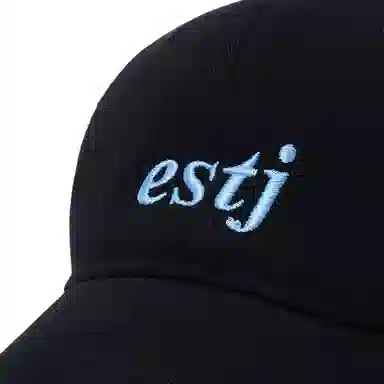 CHRONIC ACESORIES MBTI ESTJ