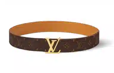 Louis Vuitton Belt Brown 4CM