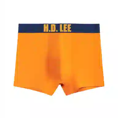 Lee 1