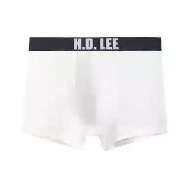 Lee 1