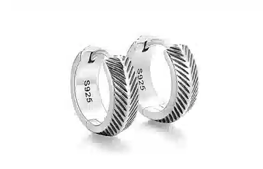 IDEAGEMER Silver Earrings