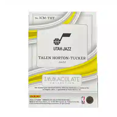 PANINI 2022-23 Imm patch