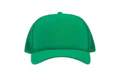 Arcteryx bird trucker