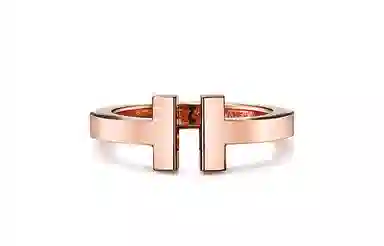 Tiffany & Co. T Series Ring
