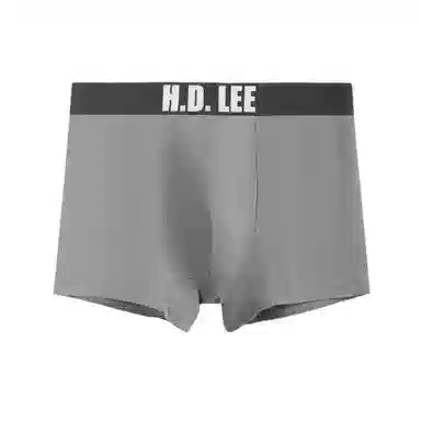 Lee 1