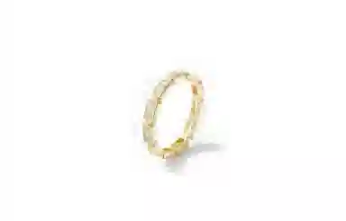 DANDREAMs925 520