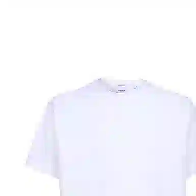 Burberry T