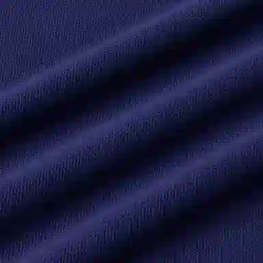 Polo Ralph Lauren LogoPolo