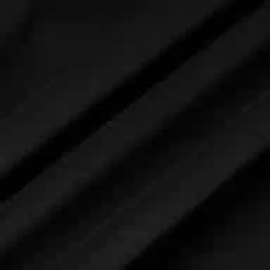 Polo Ralph Lauren Logo