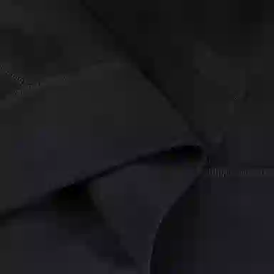 Polo Ralph Lauren Logo