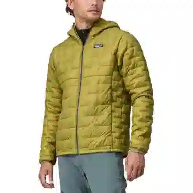 patagonia Micro Puff