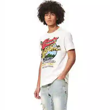 Ed Hardy SS24 logoT