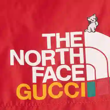 Gucci Logo Print Shorts