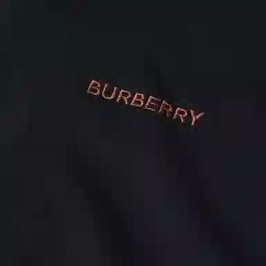 Burberry FW22 Logo