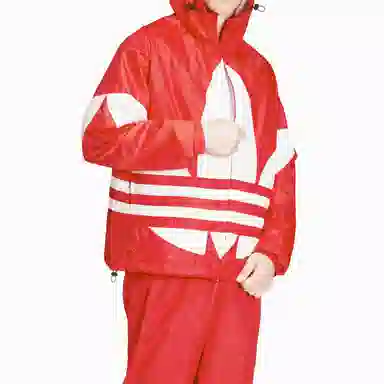 adidas originals Big trefoil Logo