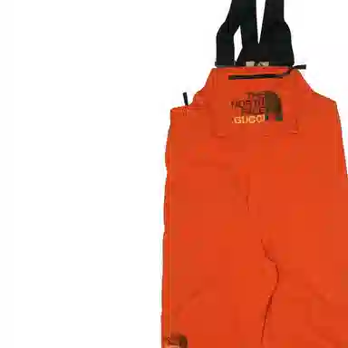 GUCCI x THE NORTH FACE