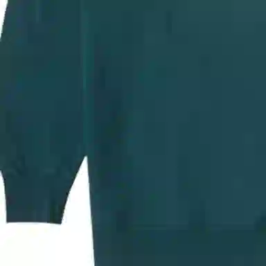 THE NORTH FACE Urban Exploration Logo