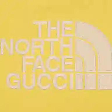 GUCCI x THE NORTH FACE