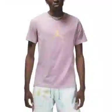 Jordan Sport DNA LogoT