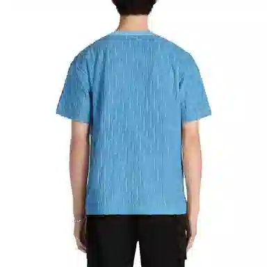 DIOR OBLIQUE SS23 T