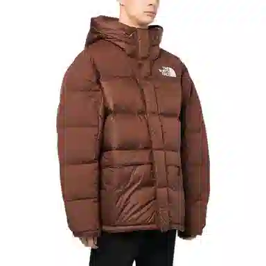 The North Face Himalayan Parka Brown