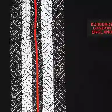 Burberry LogoPolo