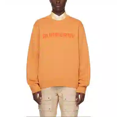 Burberry FW22 Logo