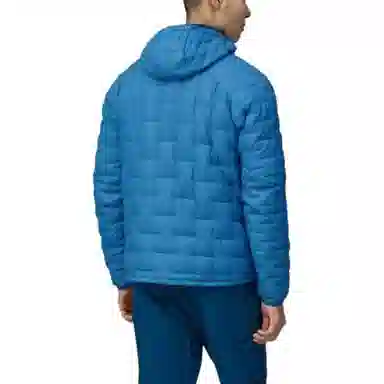 patagonia Micro Puff
