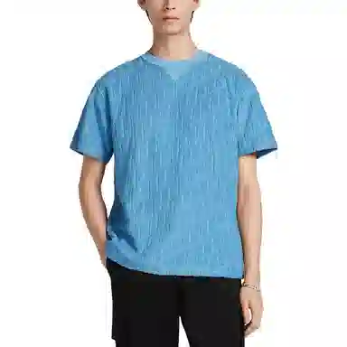 DIOR OBLIQUE SS23 T