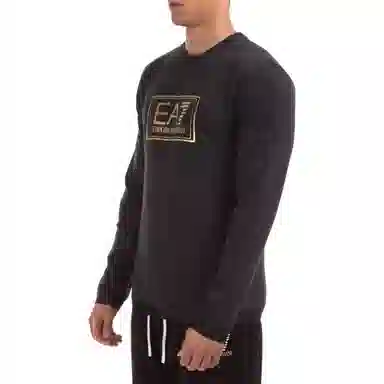 EMPORIO ARMANI EA7 Logo