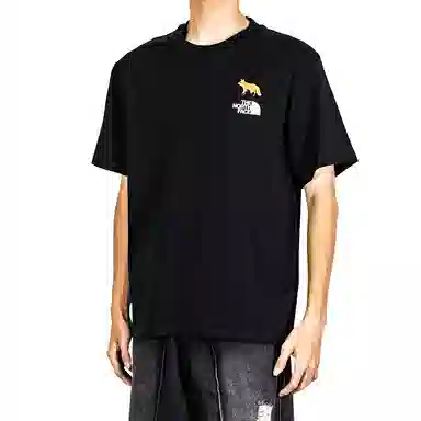 THE NORTH FACE T