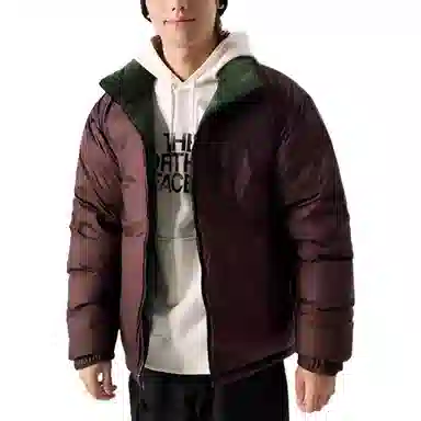 The North Face Nuptse 1992 Green