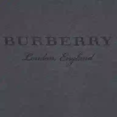 Burberry LogoT