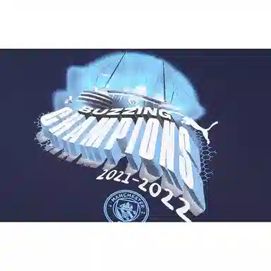 PUMA MCFC Winners Tee Mens T