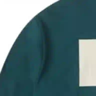 THE NORTH FACE Urban Exploration Logo